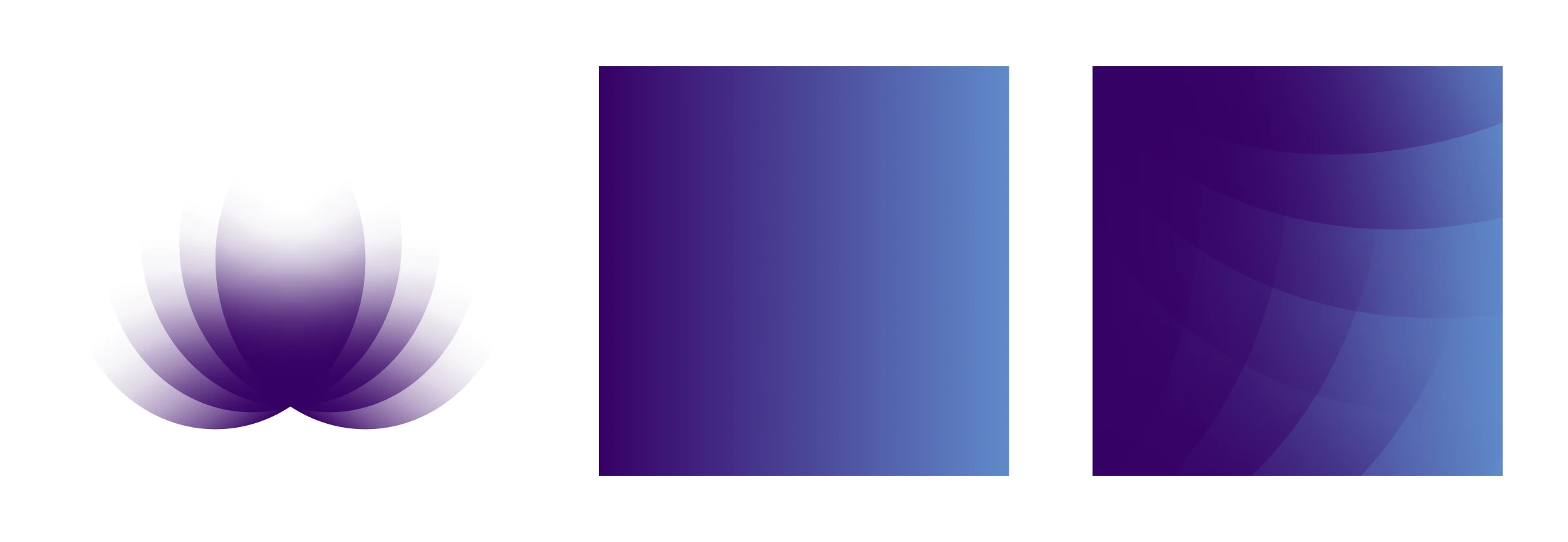 Ultimo image 2